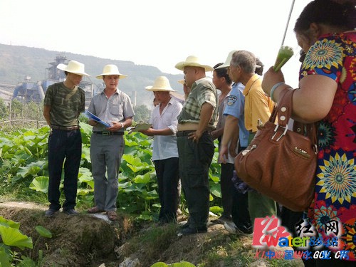 (xing)Ŀָ]Ո(qng)ɲȺȫ̅c