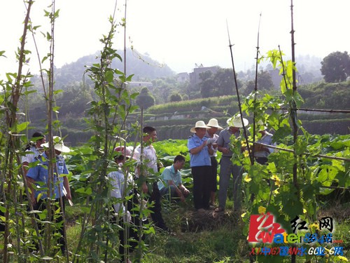 l(xing)(zhn)ˮ̎S(xing)ĿO(sh)ָ]ˆTء