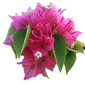 我們的公司-我們的信念