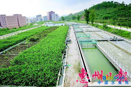 ���(y��ng)�^(q��)һ��ˮ̎��S����ˮ��(j��ng)�^(gu��)̎�������ٽ�(j��ng)ˮ��ֲ�����������(b��o)ӛ�������� �z
