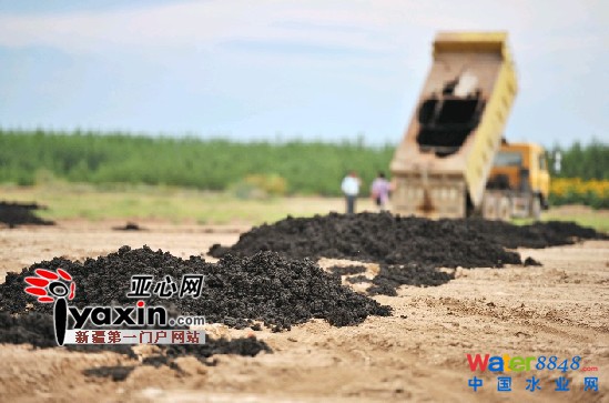 ����ľ�R�а˼���ˮ̎��Sֻ��һ��̎��������