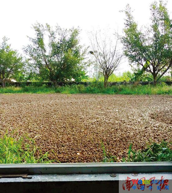 յ϶ѷe׺cSĴһӸ