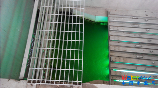 Ffˮ̎S(bio)칤A(y)Ӌ