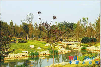 ڽ(bo)(chung)dӿɽwGۣl(f)(j)ˌ(du)ȪB(ti)O(sh)ӛߏгЈ@־G֫@ϤdнO(sh)ĿwҎ(gu)ƶ֮P(gun)ԇc(din)ȫչ_