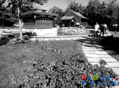 全國16城市試點“海綿城市” 像海綿一樣“呼吸”