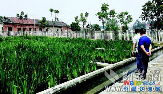 D飺O(jin)h(zhn)ˮ̎S˹عˇռشSo(h)y