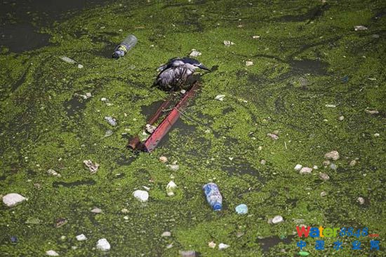 2015618Ϻ➩һֻtͣһѾGƼ֮g܇Ư