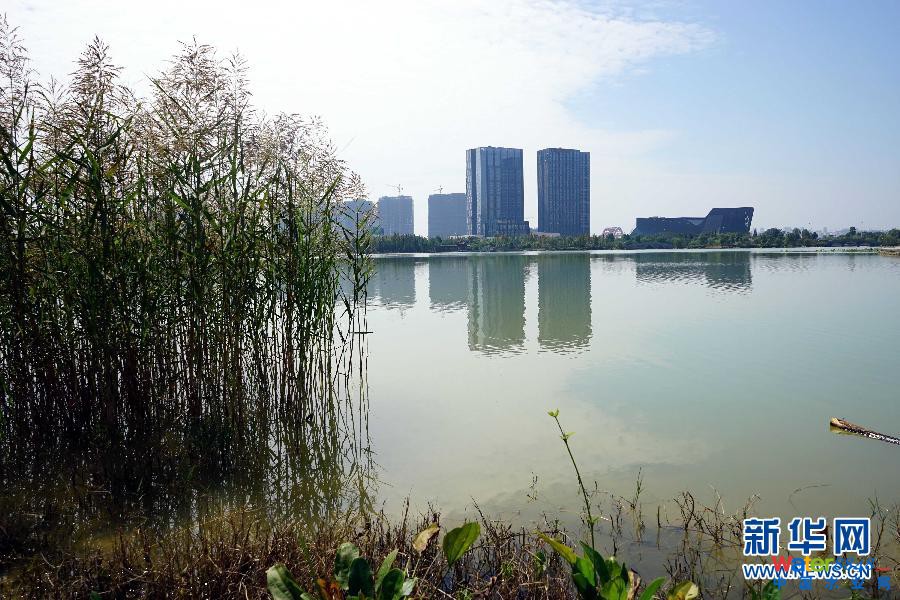 ���D�Ļ���&middot;���Aȫý�^�l&middot;���d���У���6���������҂�סʲô�ӵĳ���&mdash;&mdash;�۽����d���н��O(sh��) 