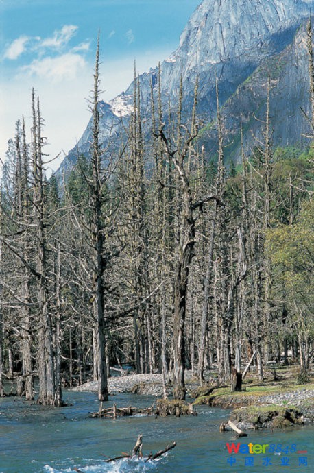 Ї(gu)104ɽ - Ի - Ի۵Ĳ