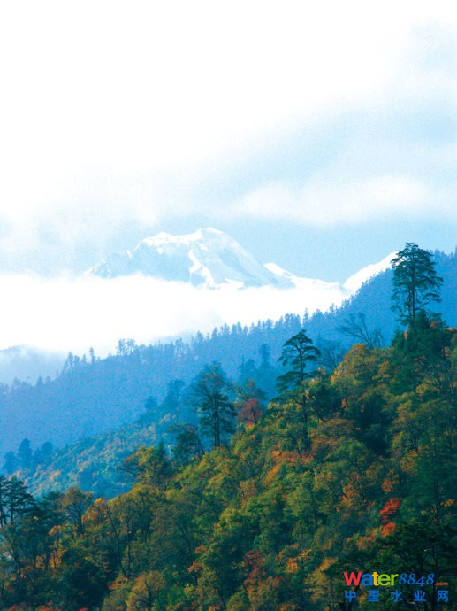 Ї(gu)104ɽ - Ի - Ի۵Ĳ