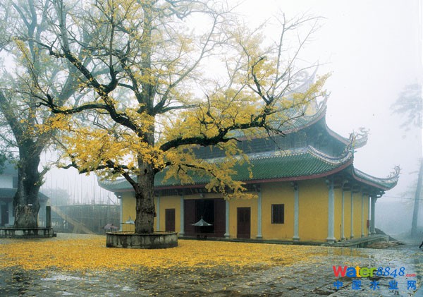 Ї(gu)104ɽ - Ի - Ի۵Ĳ