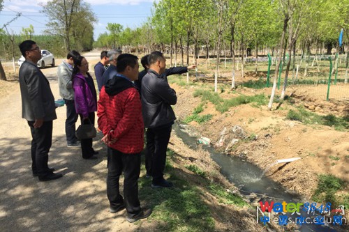 X-�DƬ3����