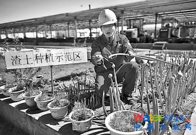 ¾գ̎STڽBúo̎Nֲĸ߲Lr