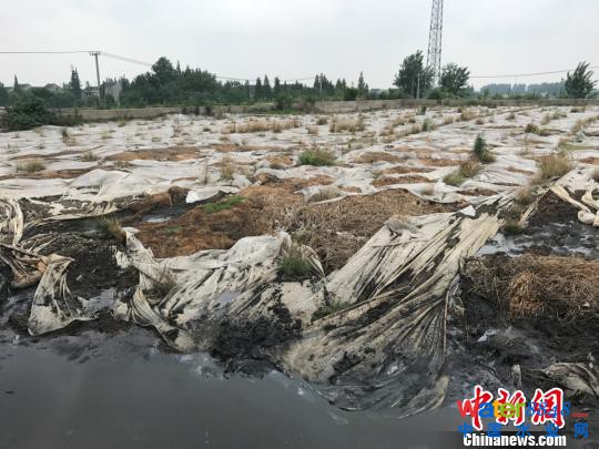 K̩dL(zhng)߅`Aδıعن