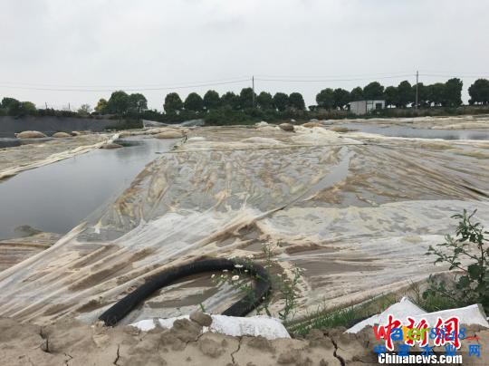 DѴF(xin)(chng)|Ŀ@ پW(wng)؈D