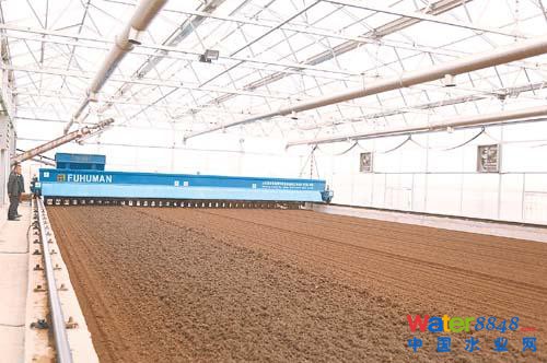 棗強縣污泥處置中心日“消化”污泥15噸