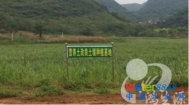 “ЇX”ƽhUVؠI(yng)B(yng)Nֲԇ(yn)ʾ    