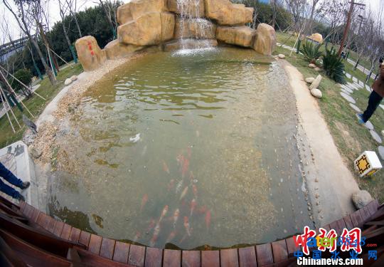 M(jn)еڶ̎ˮB(yng)~ z