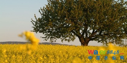 (du)҂(jng)(j)L(zhng)cB(ti)(hu)R(sh)ͬ