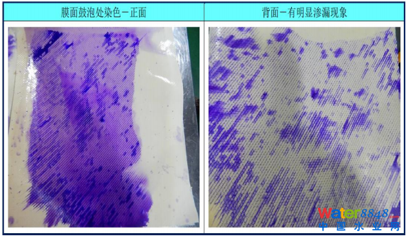 p(j)(lin)(dng)B͸ϵy(tng)Ϸ