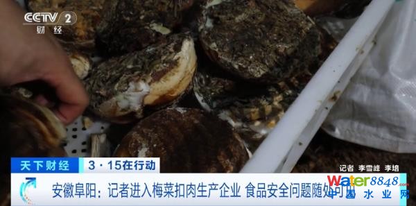 (zh)F(xin)(chng)عȳˮM……