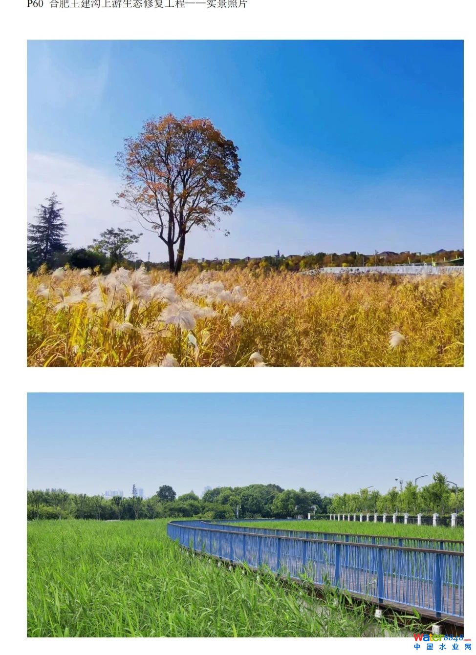 ˮǧ˴ճ̣ˮ˸죨ˮ|(zh)Ч߼ӑՈͬ_ˮܾW(wng)ˮh(hun)ˮYԴô/@^(q)ˮ