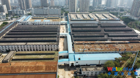 D齭^(q)^MF(tun)K18/K19ȵ؉K(ԭLS)ȾL(fng)U(xin)u(xing)Ŀ ؑcԺ˾D