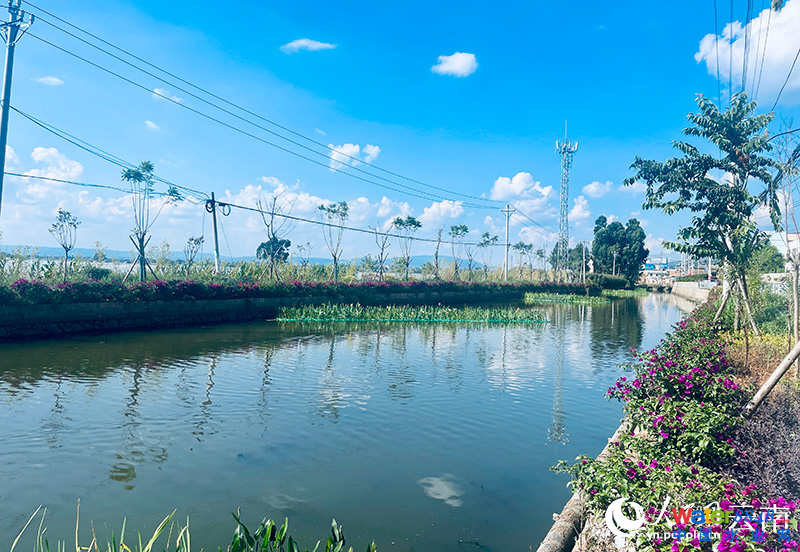 κ׺W(wng)ӛ-̺Ɣz